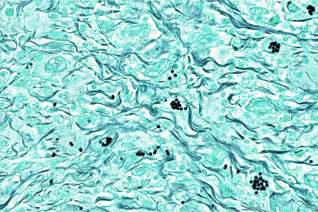 Image for question 9