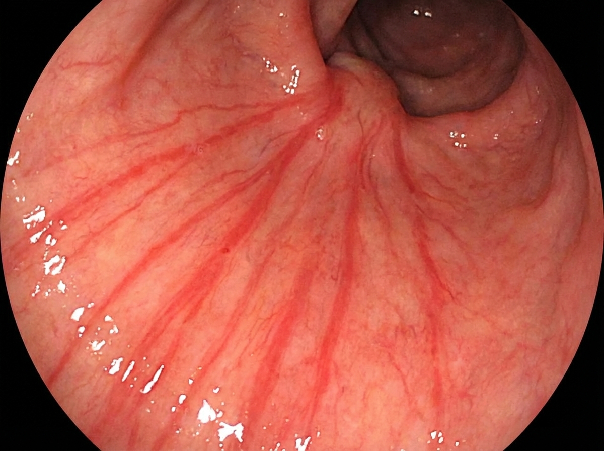 Image for question 95