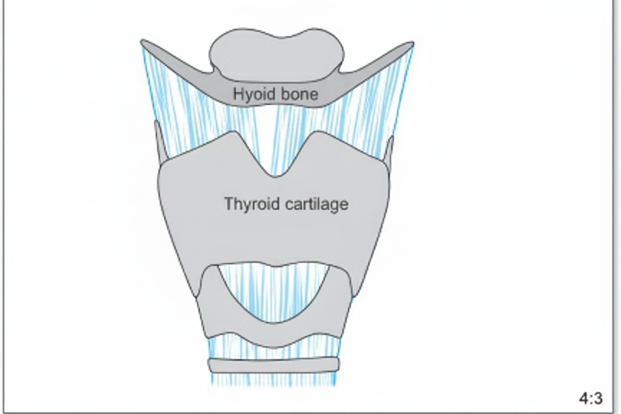 Image for question 5