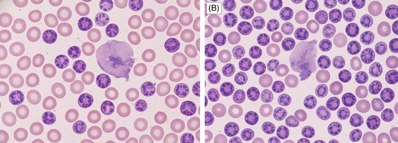 Image for question 11