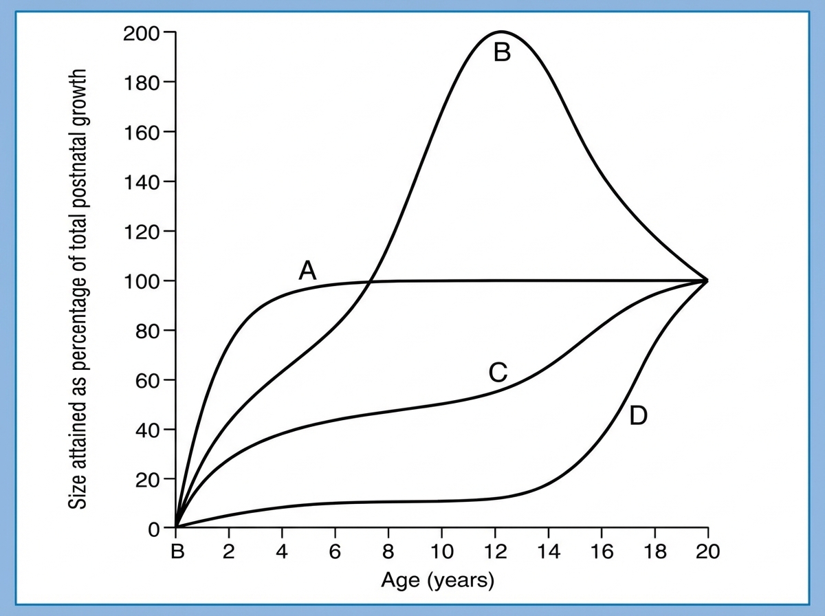 Image for question 4