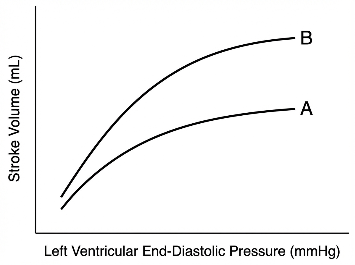 Image for question 768