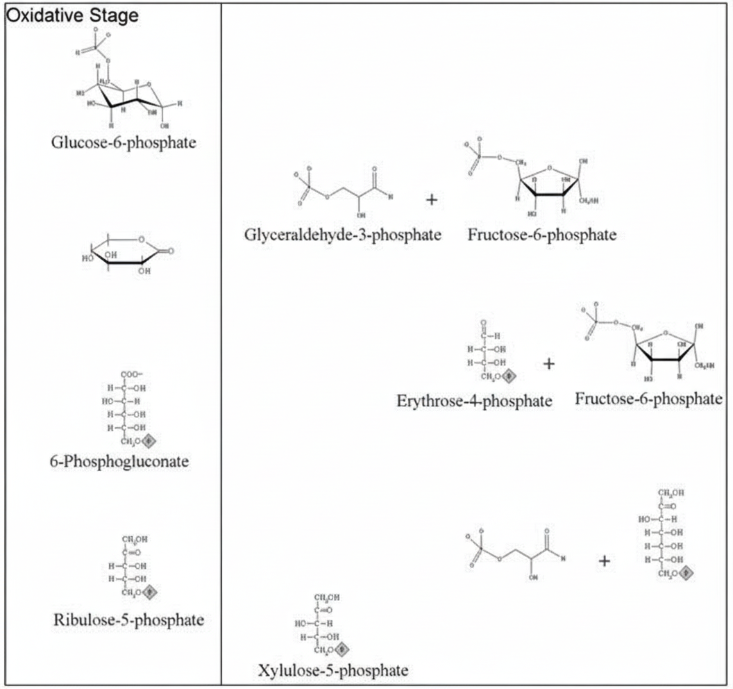 Image for question 257