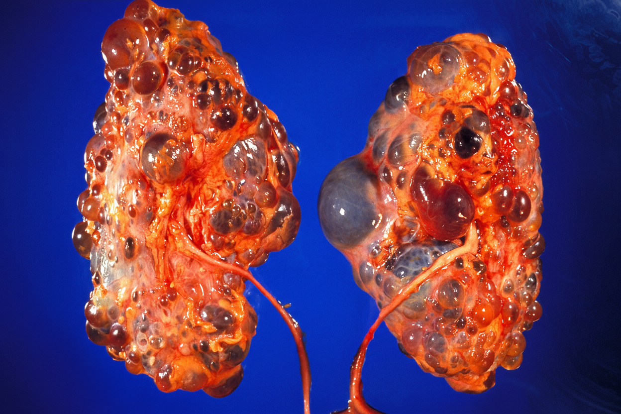 Image for question 14