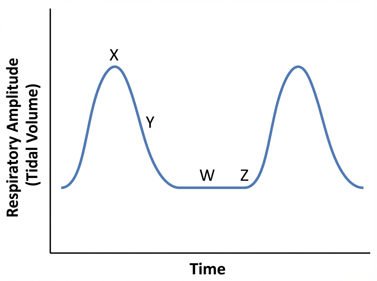 Image for question 621