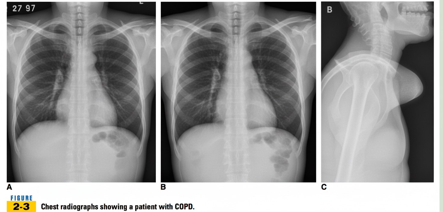 Image for question 31