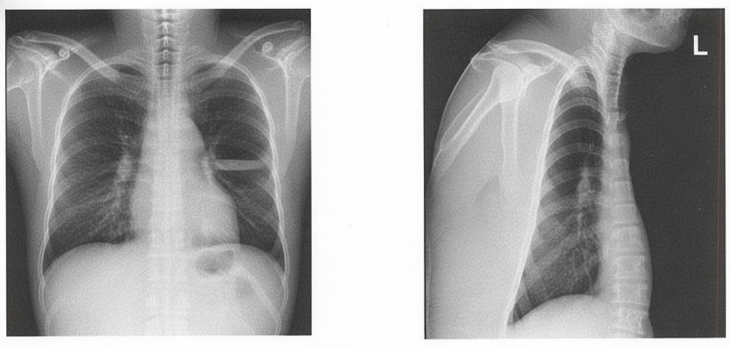 Image for question 3