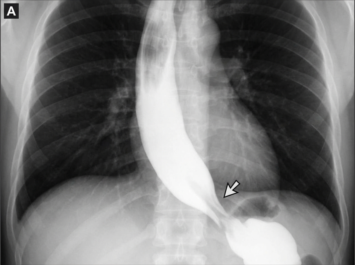 Image for question 13