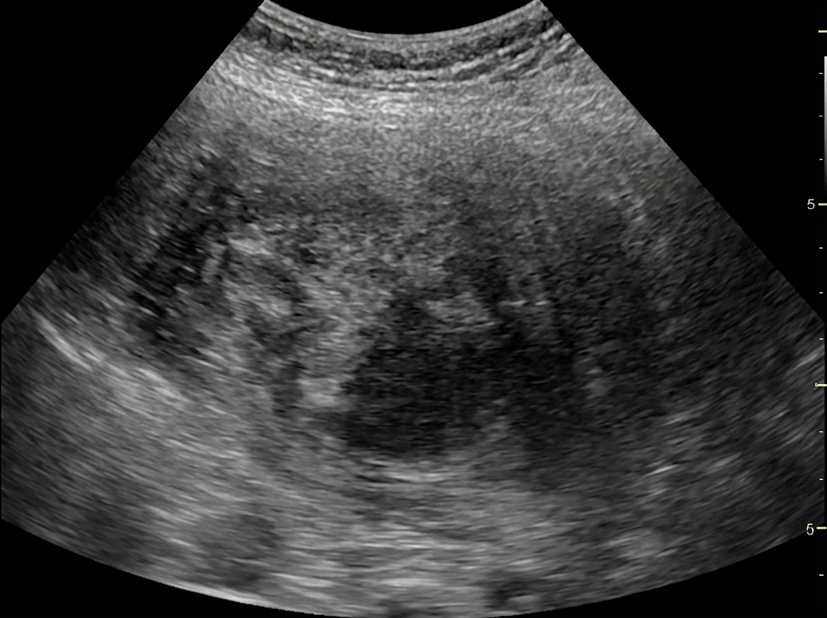 Image for question 1