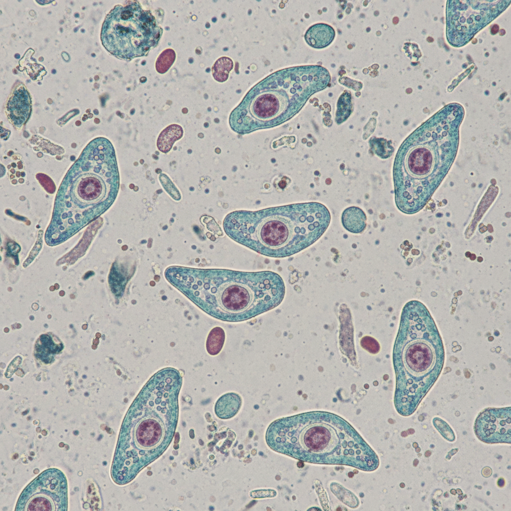 Image for question 4