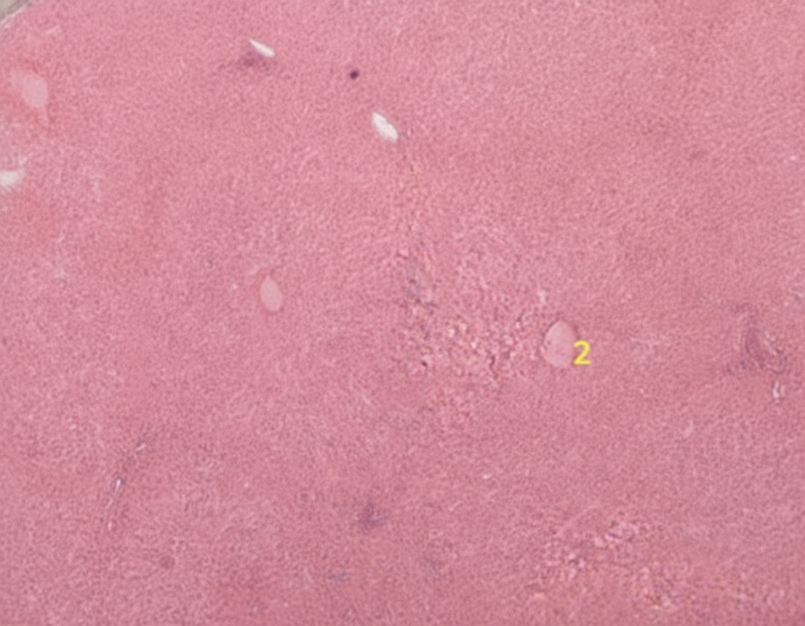 Image for question 82