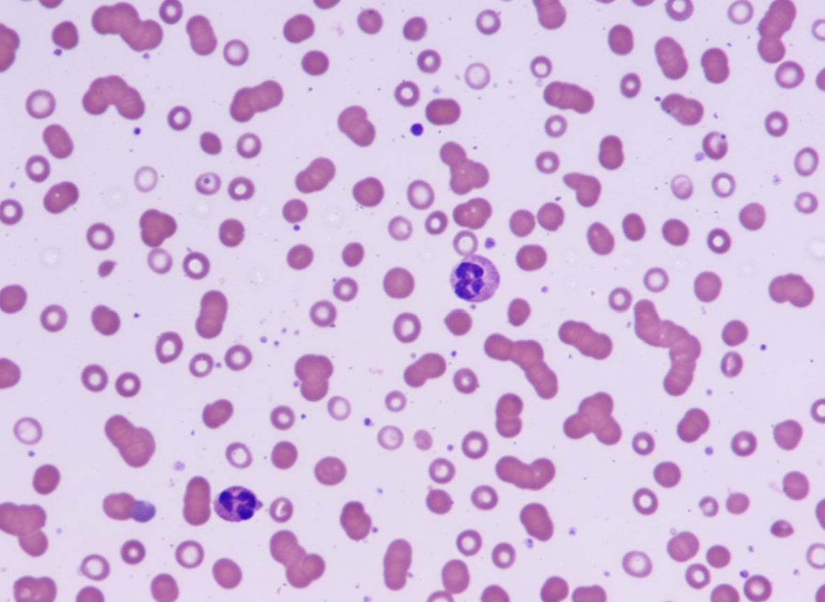 Image for question 789