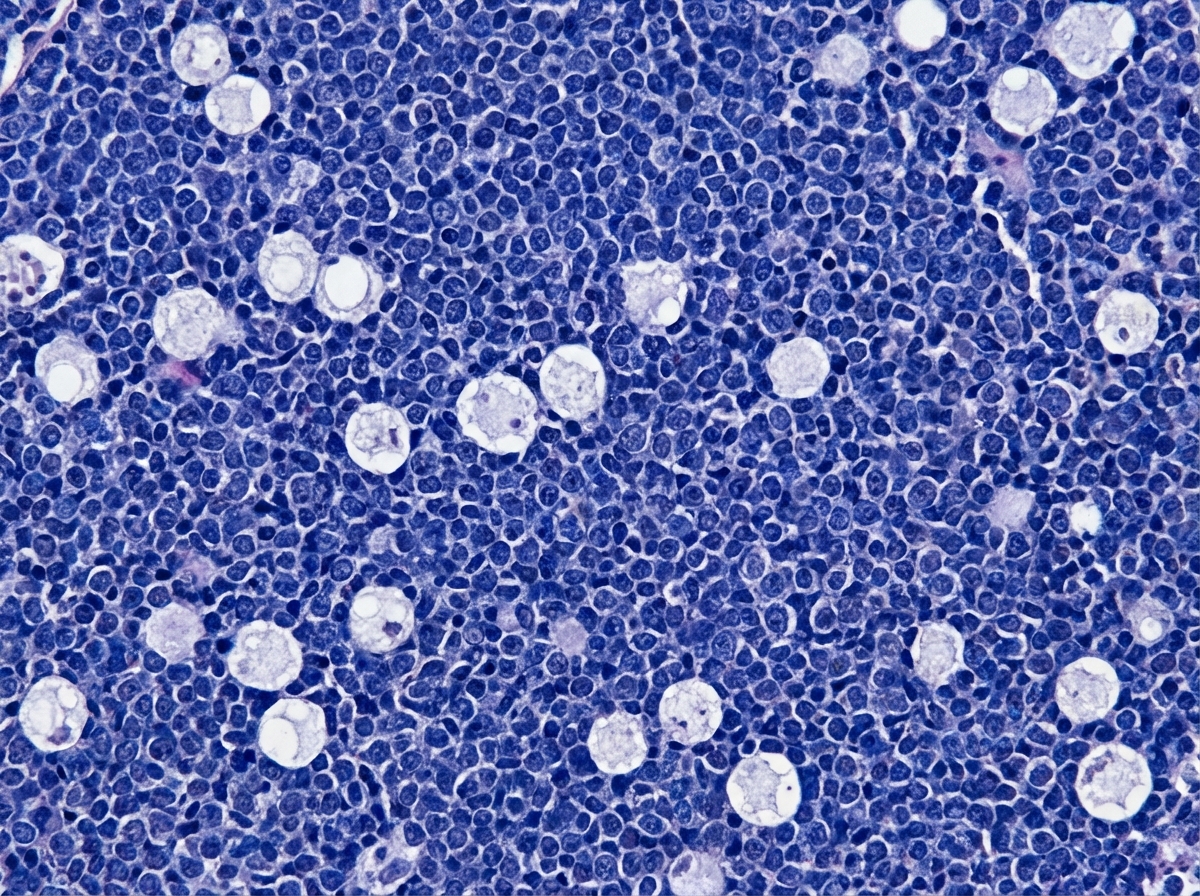 Image for question 9