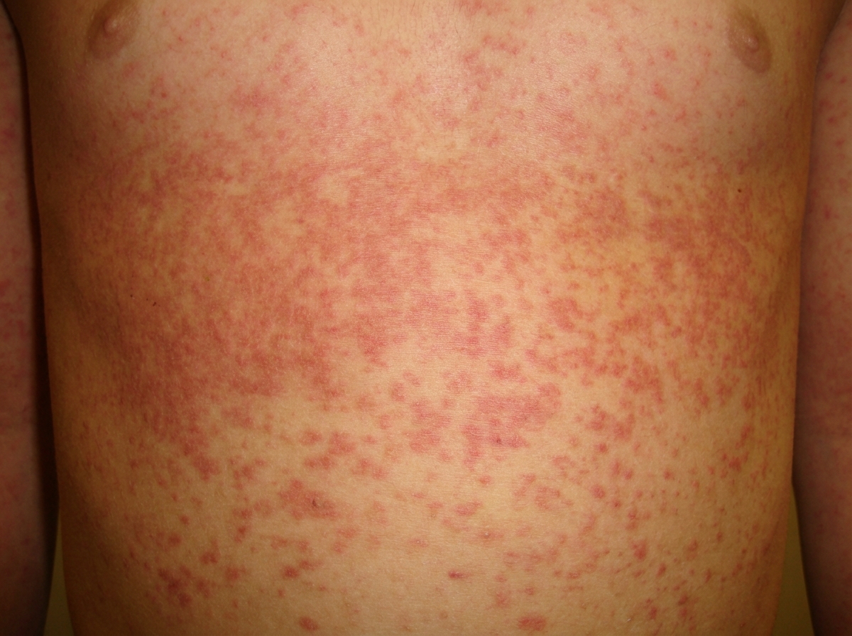 Image for question 40