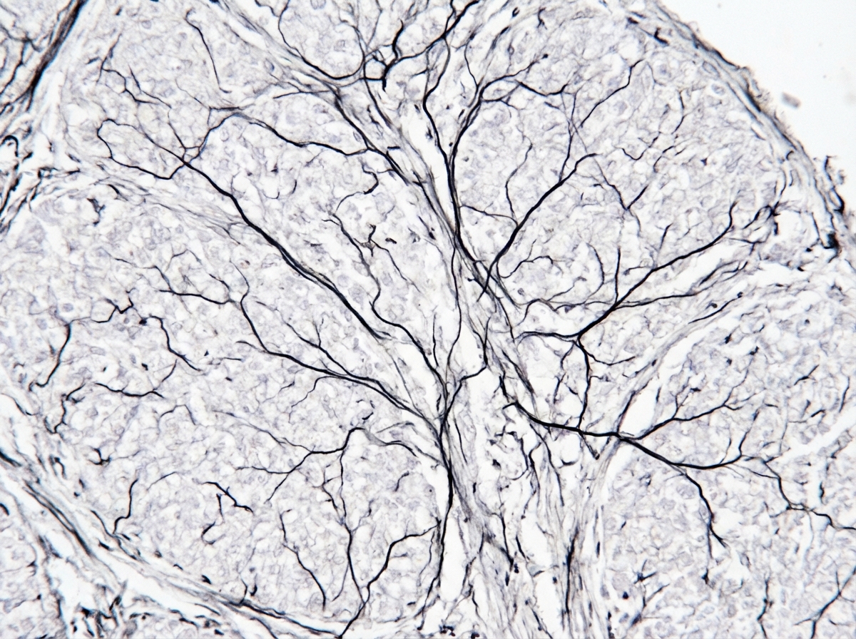 Image for question 178