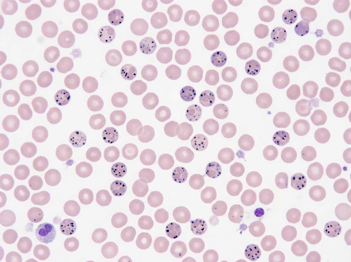 Image for question 26