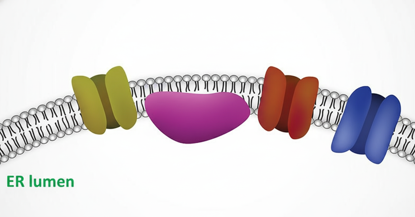 Image for question 652