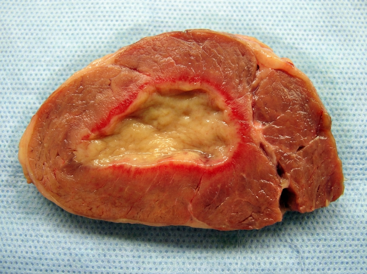 Image for question 49