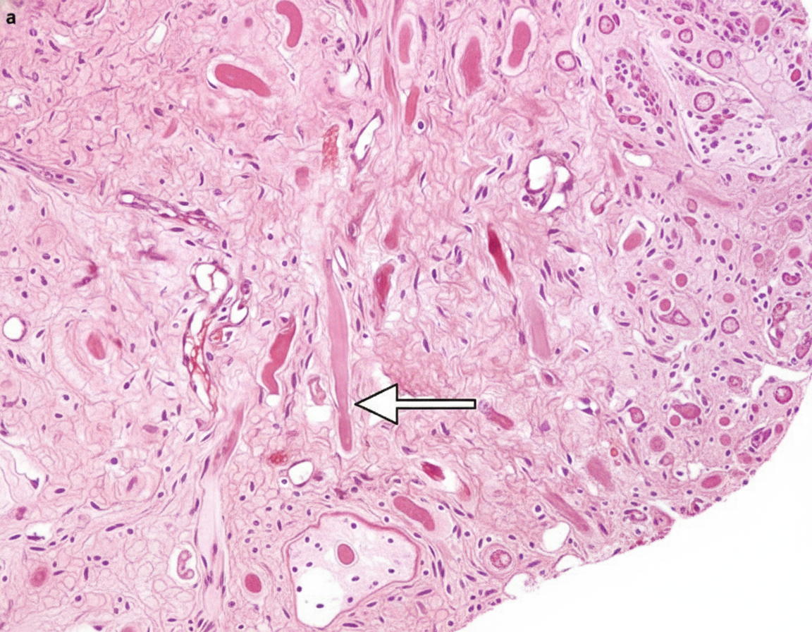 Image for question 5