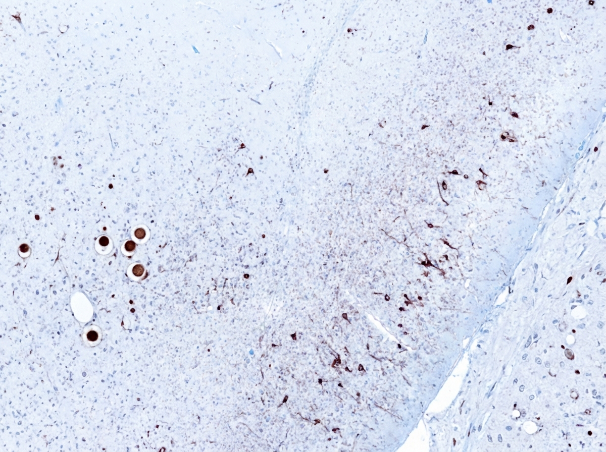 Image for question 1