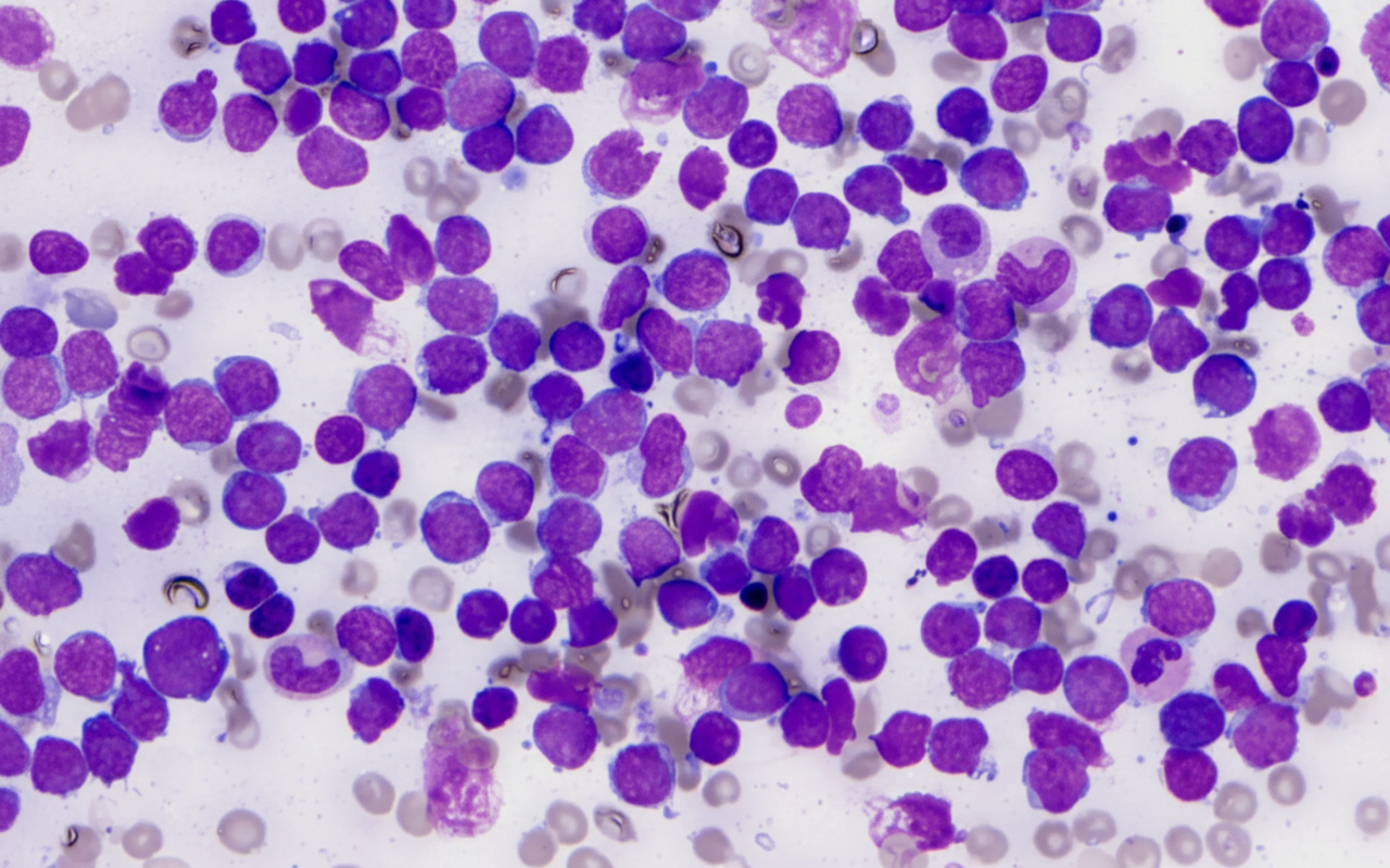 Image for question 48