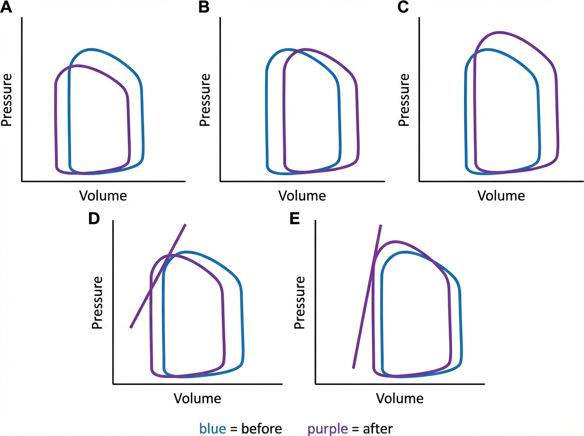 Image for question 3
