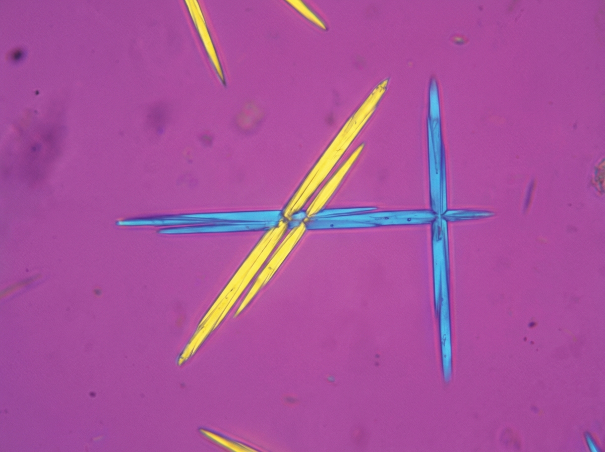 Image for question 41