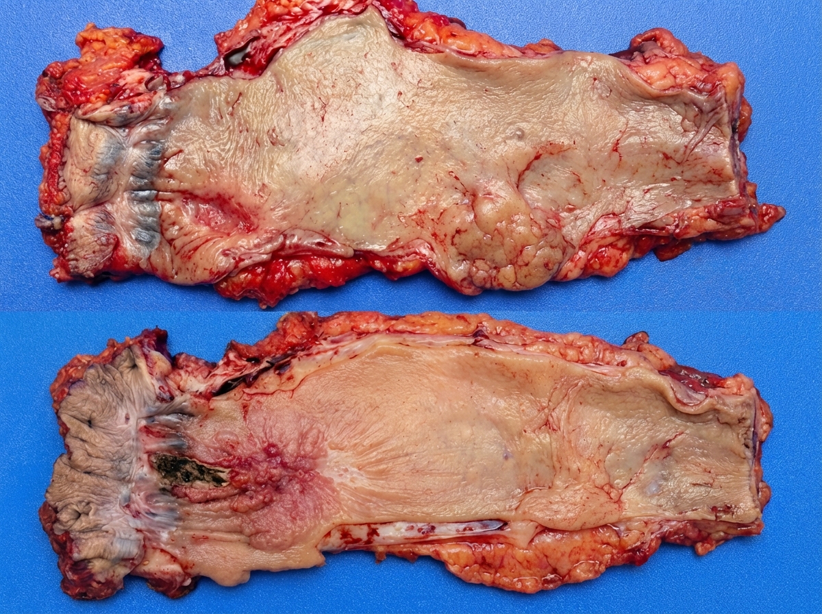 Image for question 4