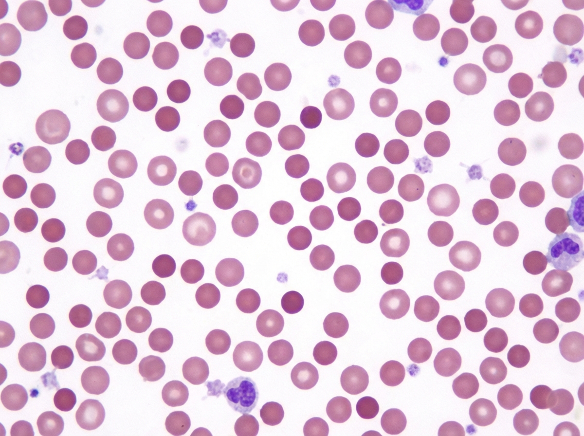 Image for question 57