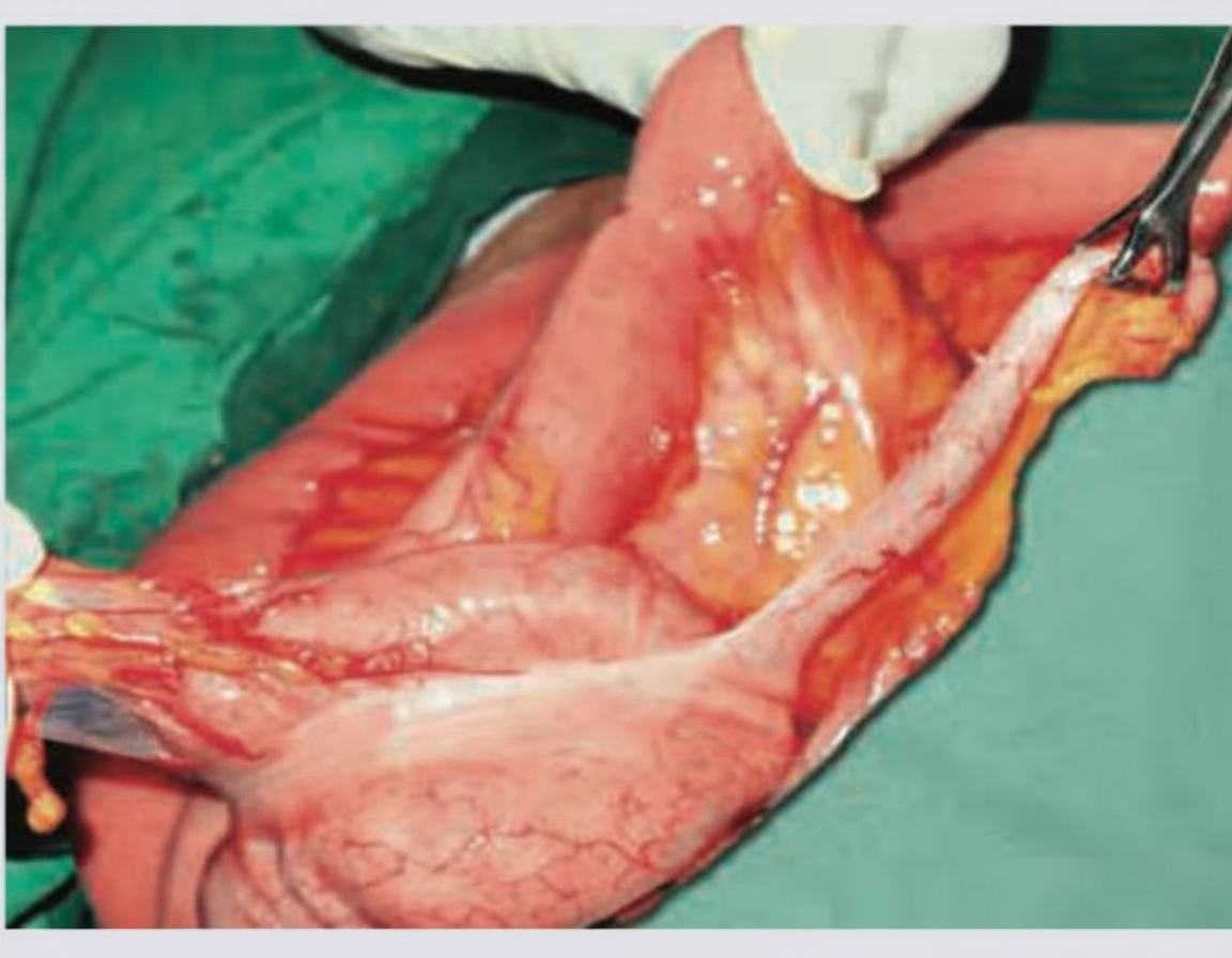 Image for question 2