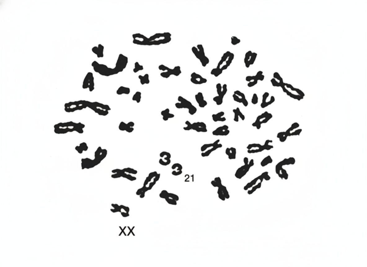 Image for question 201