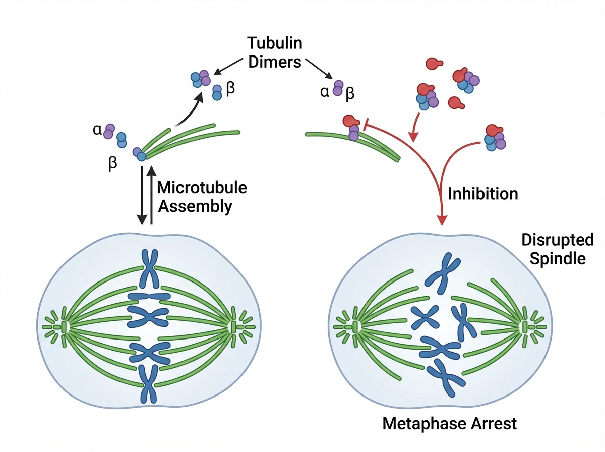 Image for question 456