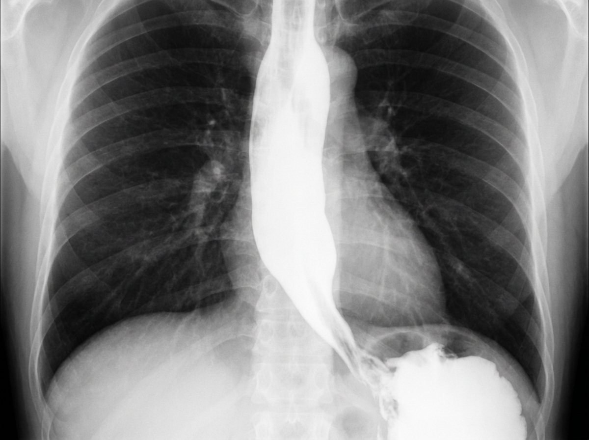 Image for question 5