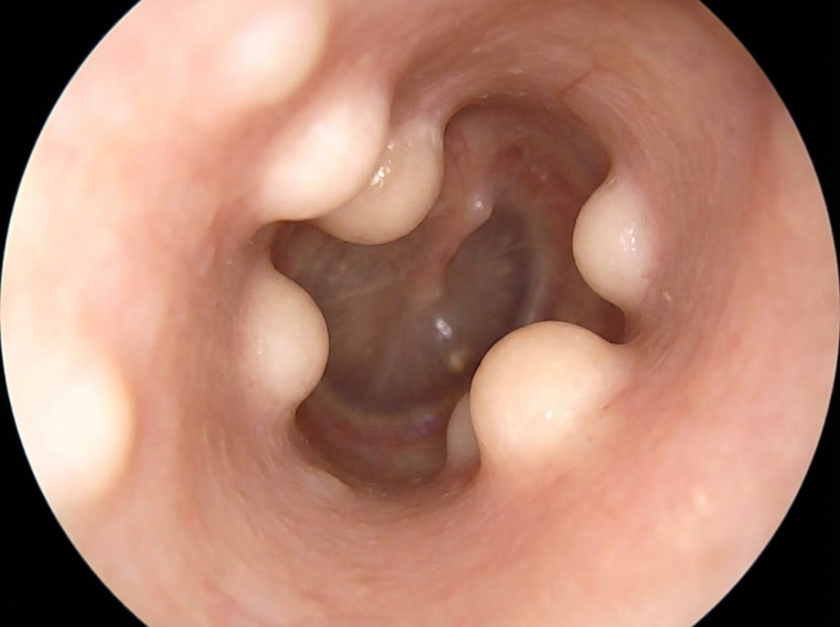 Image for question 50