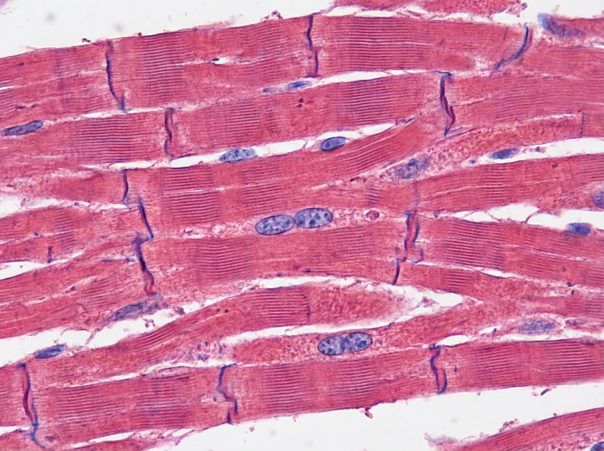 Image for question 4