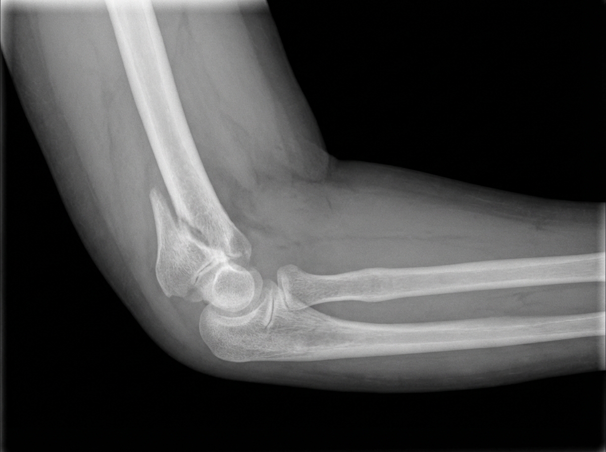 Image for question 15