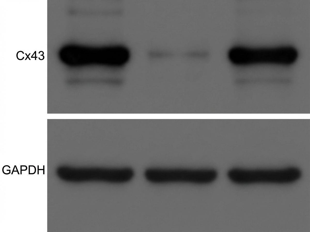 Image for question 18