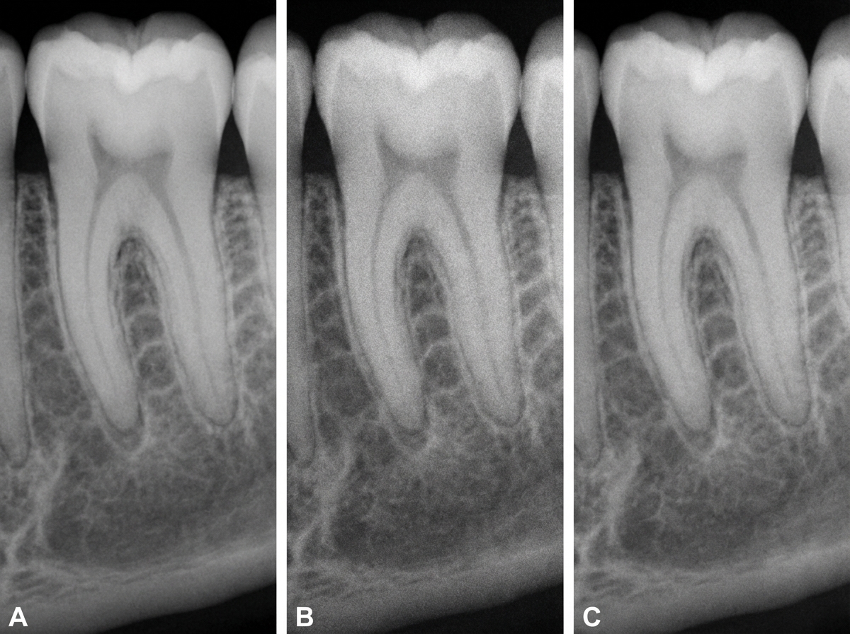 Image for question 29