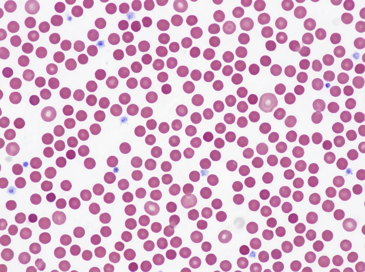 Image for question 22