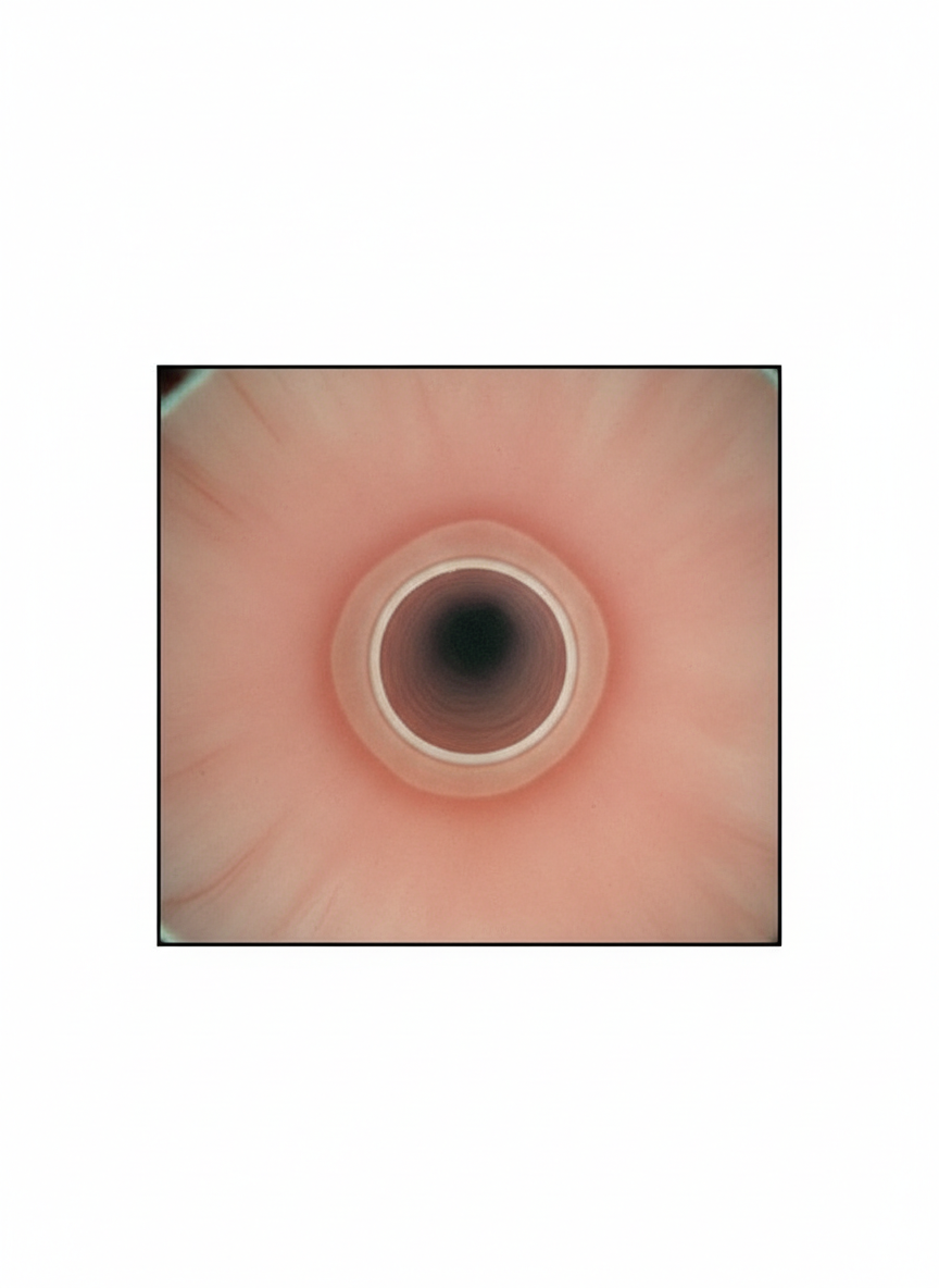 Image for question 165