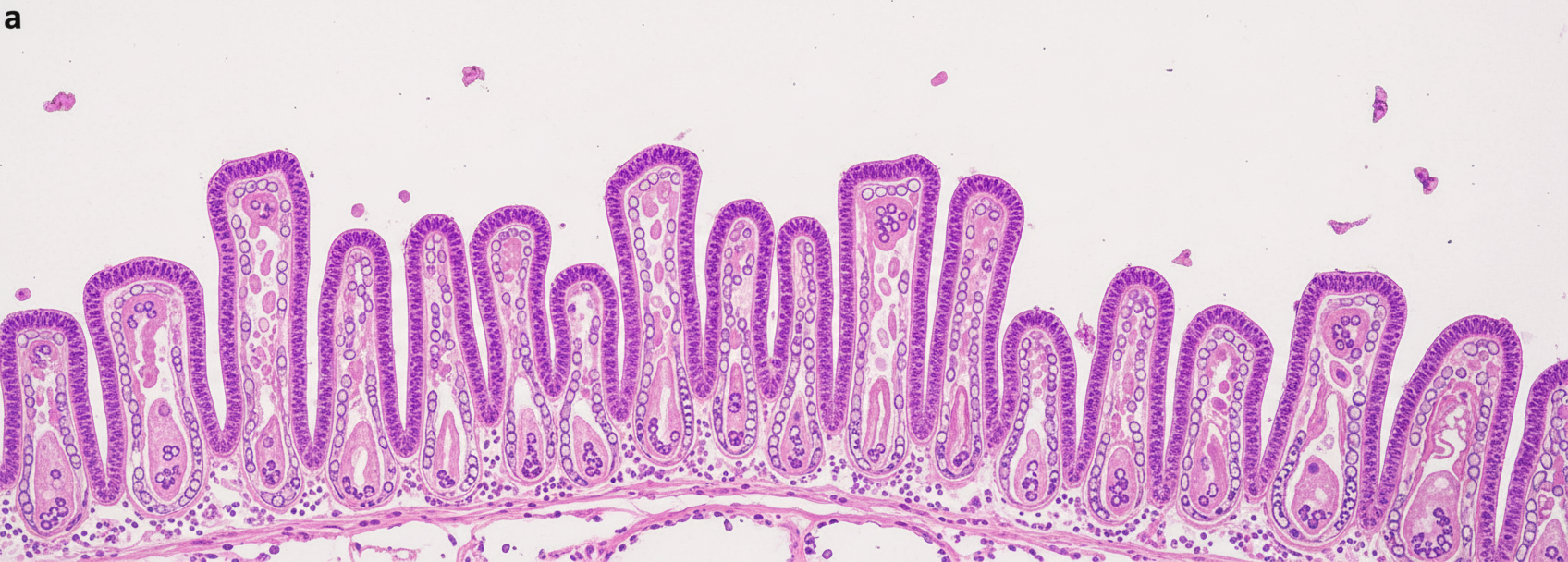 Image for question 392