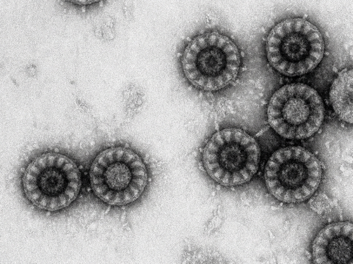 Image for question 4