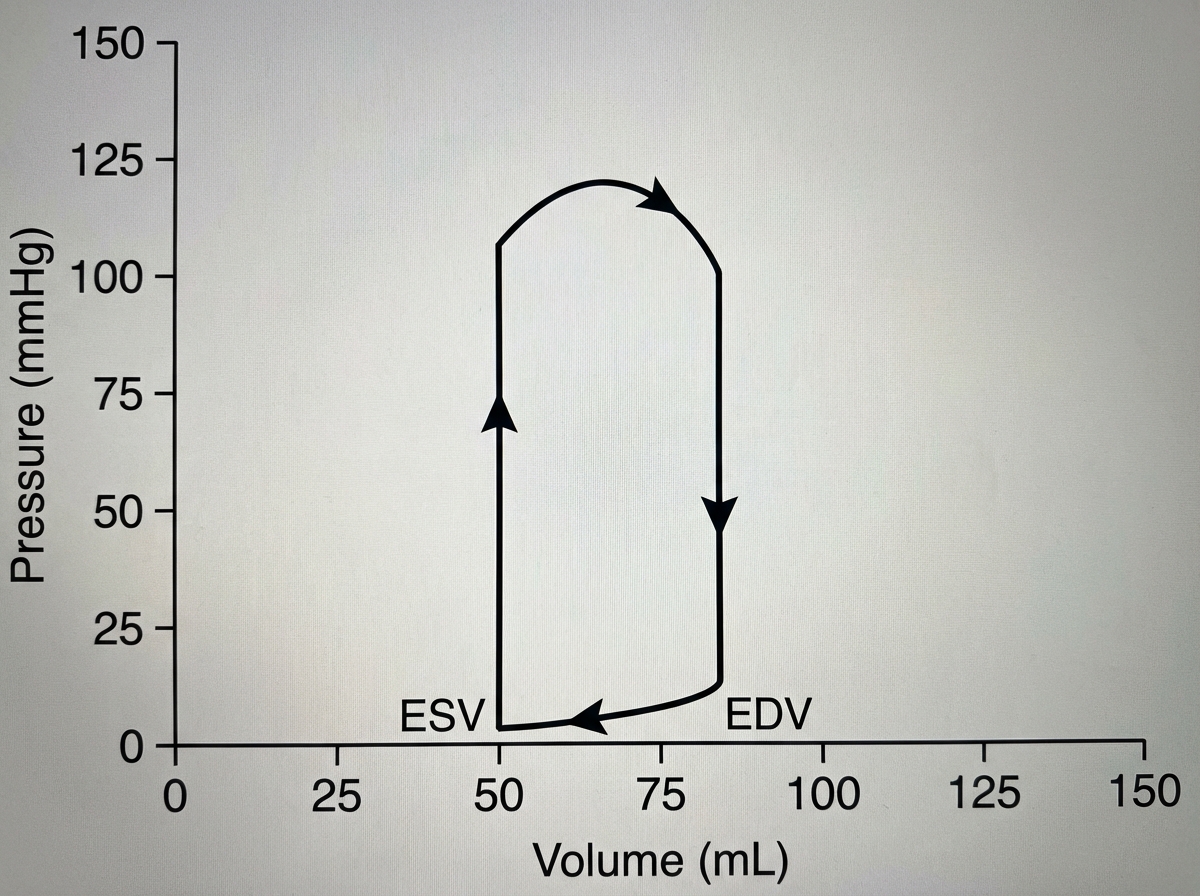 Image for question 569