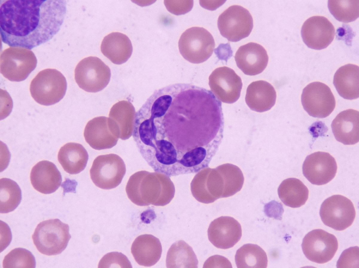 Image for question 478