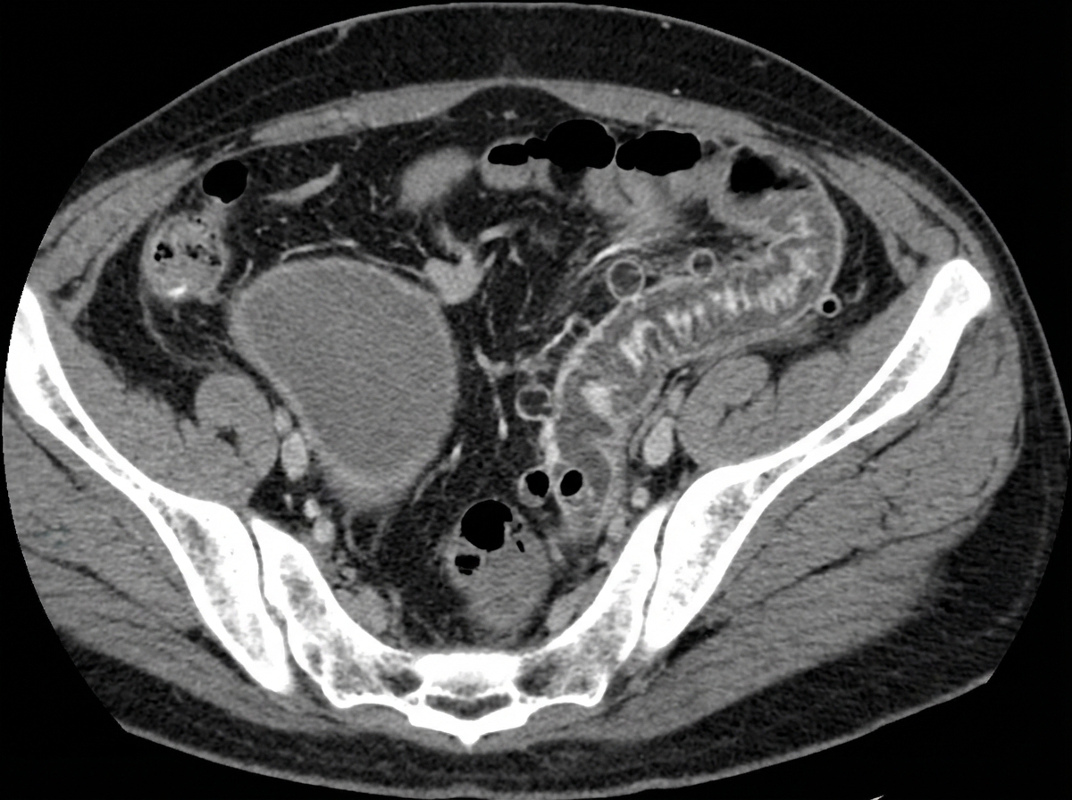 Image for question 7