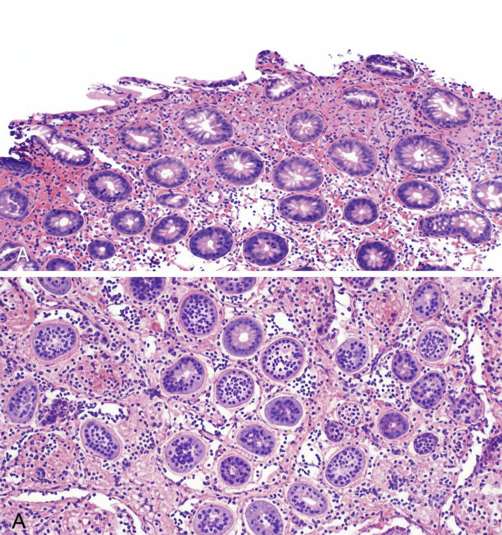 Image for question 7