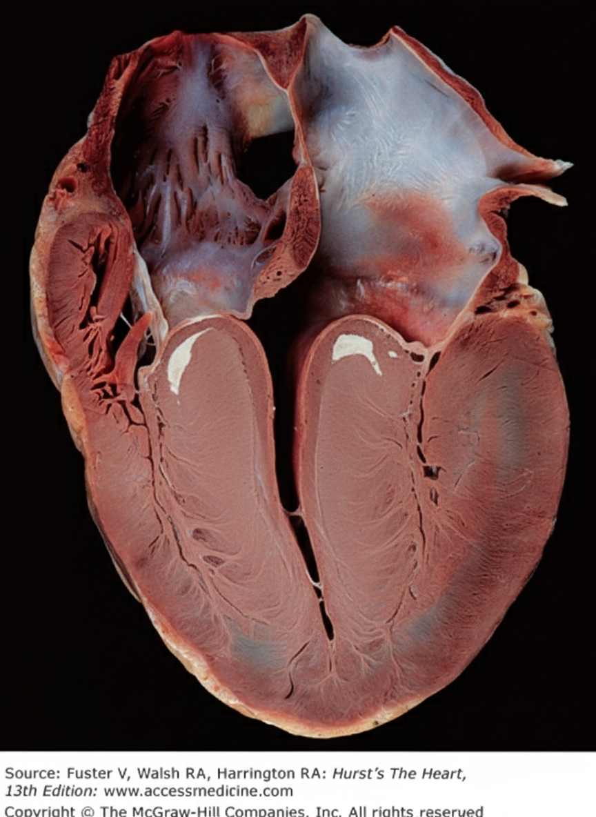 Image for question 103