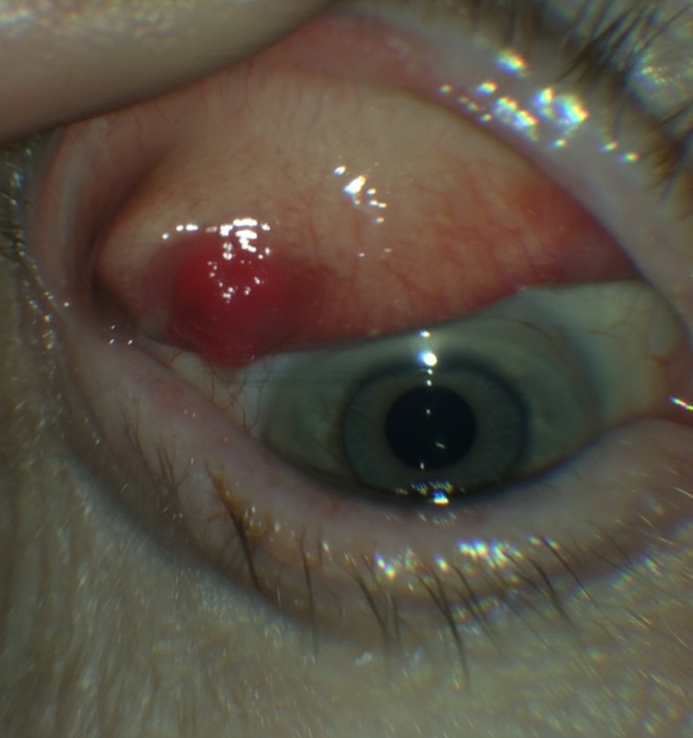 Image for question 8