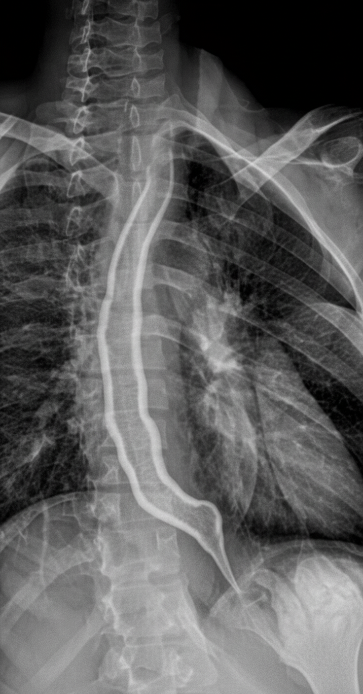 Image for question 439