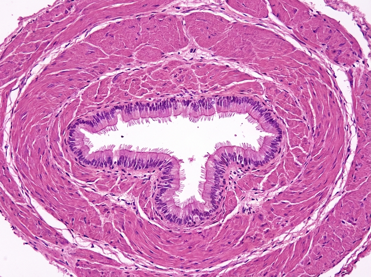 Image for question 243